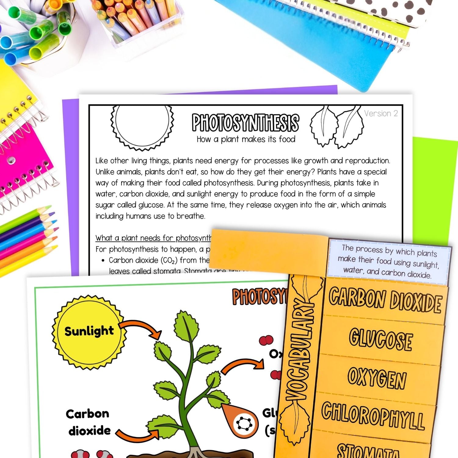 Photosythesis sequence and fold plant science craft activity