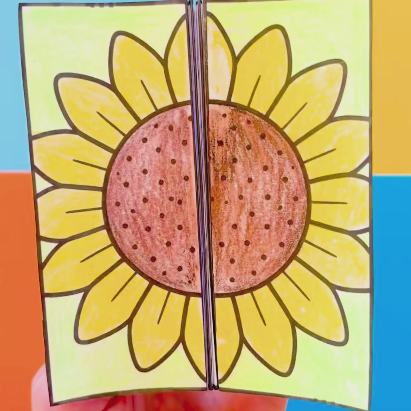 Plant life cycle bundle - apple tree, pumpkin, bean and sunflower
