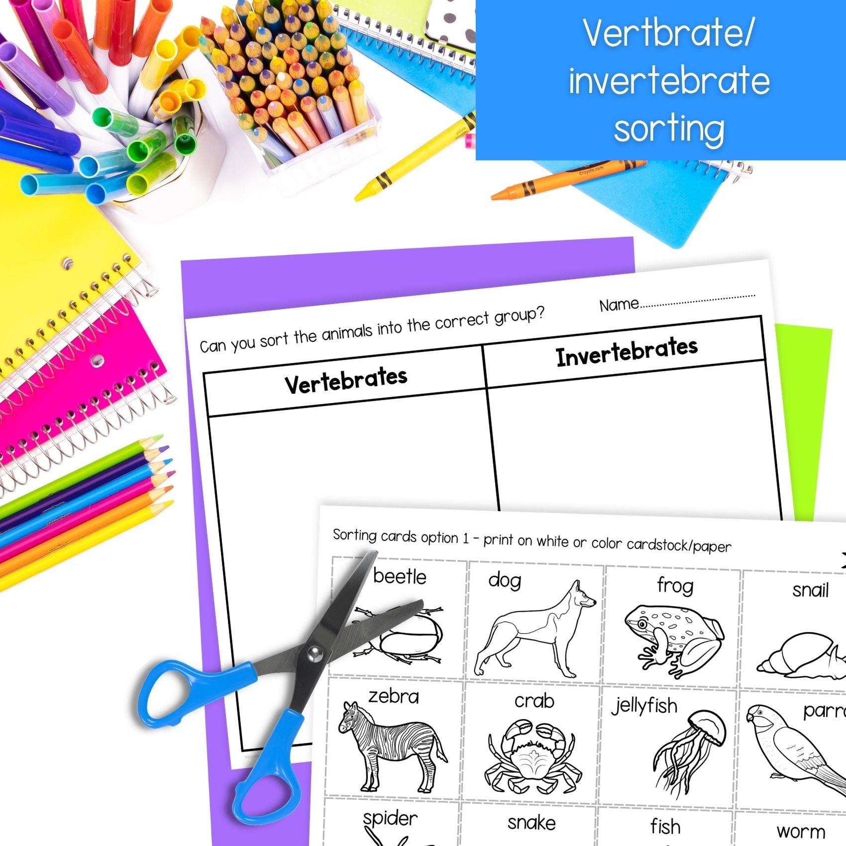 The human skeleton and bones skeletal system slides worksheets activities